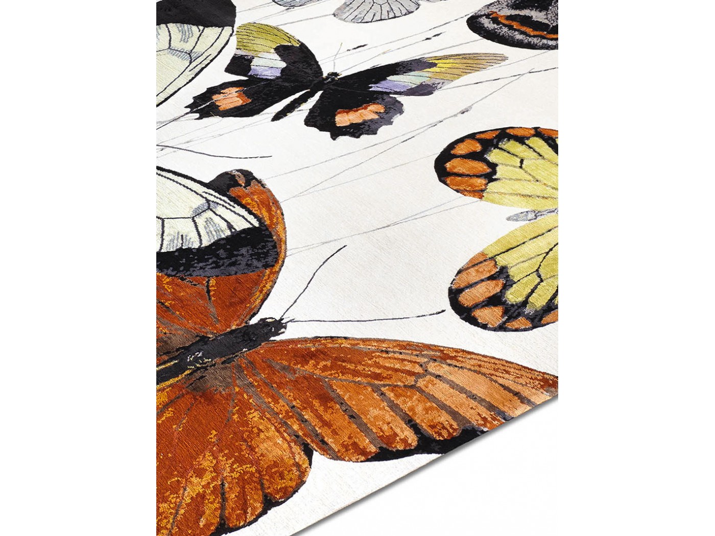 PA38 _ Butterfly _______ disponibile cm 300 x 250